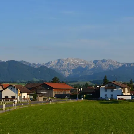 Am - Steinhaeubl *