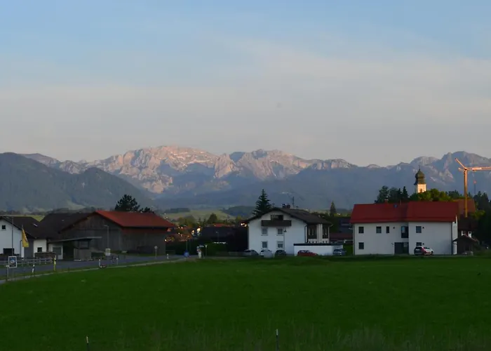 Am - Steinhaeubl *